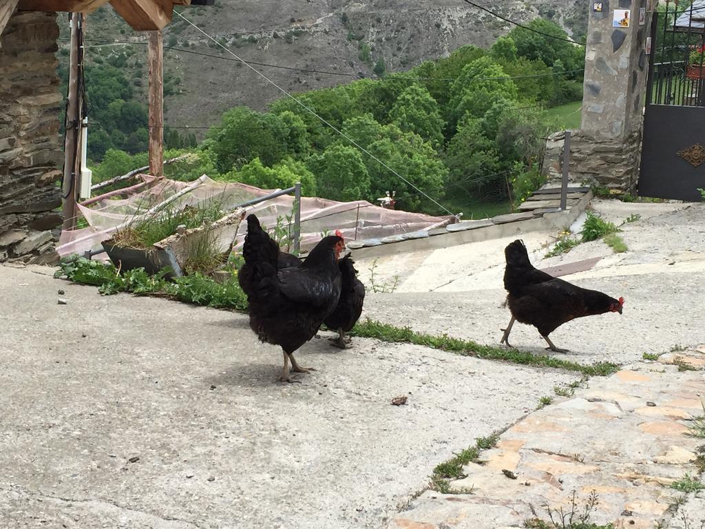 Lo Paller De Roc Montescladó 외부 사진